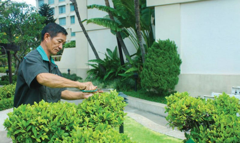 Gói chăm sóc và bảo dưỡng cảnh quan sân vườn trọn gói